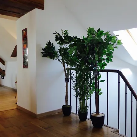 Un Bijou Au Coeur De Appartement Belleme
